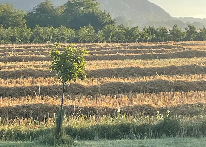 Feriehus Les Courreges